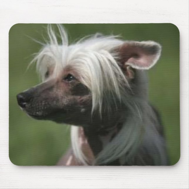 Chinese Crested Mousepad (Front)