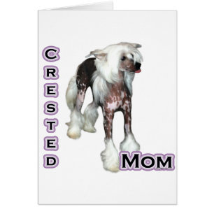 Chinese Crested Mum 4