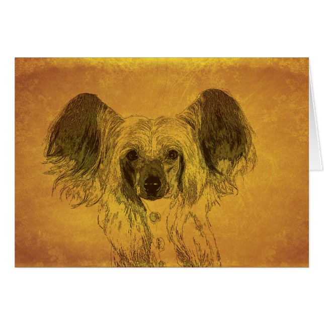 Chinese Crested portrait (Front Horizontal)