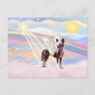 Chinese Crested Postcard