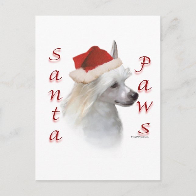 Chinese Crested (powder) Santa Paws Holiday Postcard (Front)
