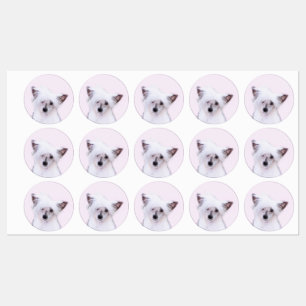 Chinese Crested Powderpuff Painting - Dog Art