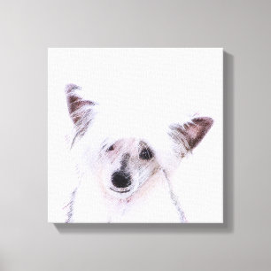 Chinese Crested Powderpuff Painting - Dog Art Canvas Print