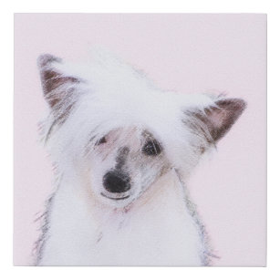 Chinese Crested Powderpuff Painting - Dog Art Faux Canvas Print