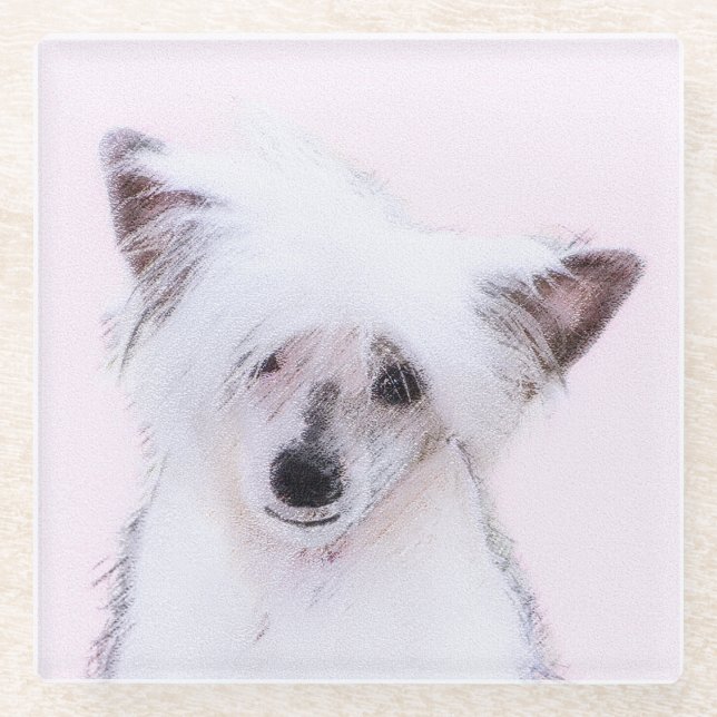 Chinese Crested Powderpuff Painting - Dog Art Glass Coaster (Front)