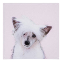 Chinese Crested Powderpuff Painting - Dog Art