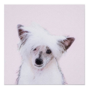 Chinese Crested Powderpuff Painting - Dog Art Poster