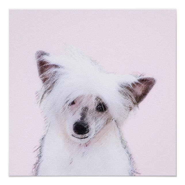 Chinese Crested Powderpuff Painting - Dog Art Poster (Front)