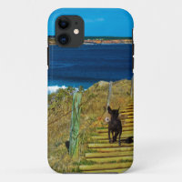 Chinese Crested Puppy Steal Teddy iPhone Five Case