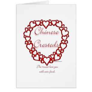 Chinese Crested True Love