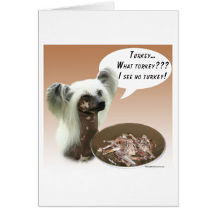 Chinese Crested Turkey