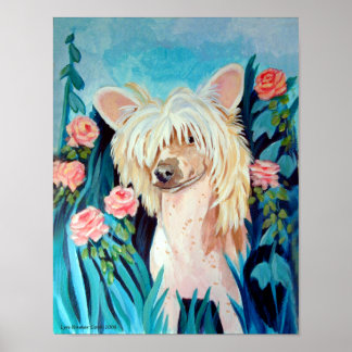 Chinese Crested Wall Print Poster