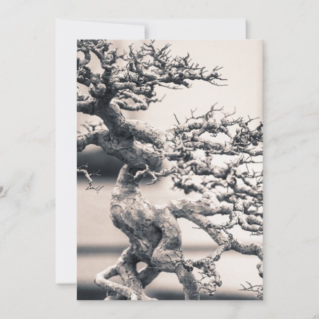 Chinese Elm Card (Front)