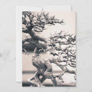 Chinese Elm Card