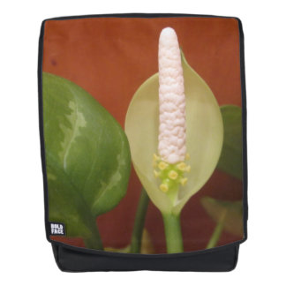 Chinese Evergreen Flower Backpack