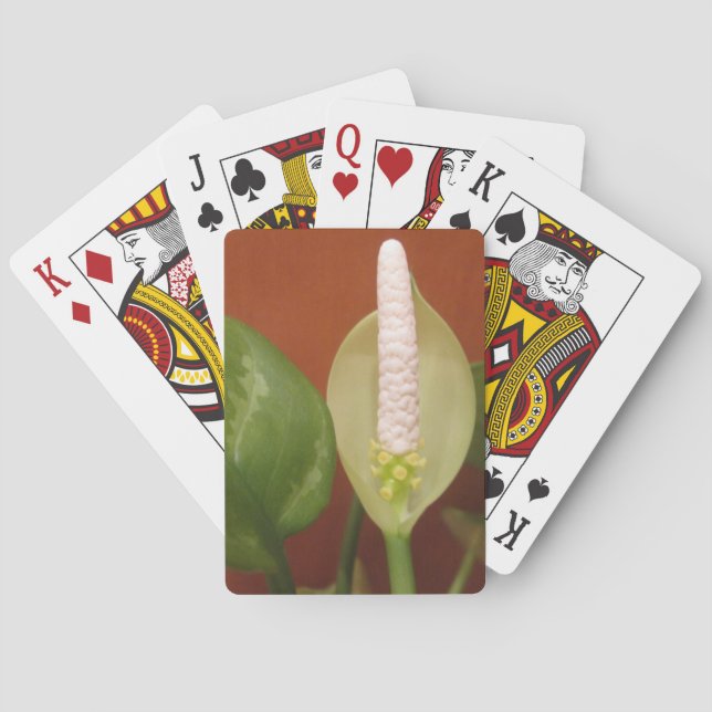 Chinese Evergreen Flower Playing Cards (Back)