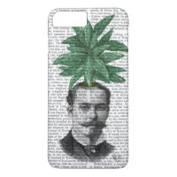 Chinese Evergreen Head Plant Head