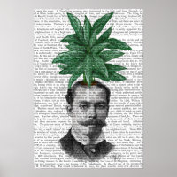 Chinese Evergreen Head Plant Head