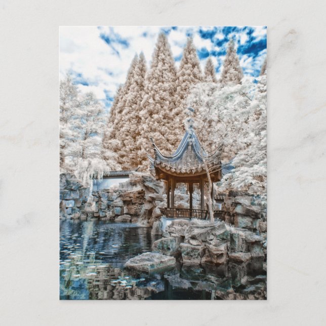 Chinese Garden Infrared Postcard (Front)