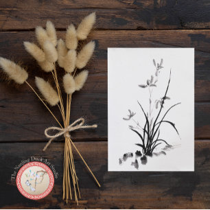 Chinese Iris - bw Photo Postcard