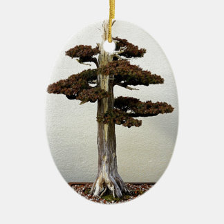 Chinese Juniper Bonsai Tree Ceramic Tree Decoration