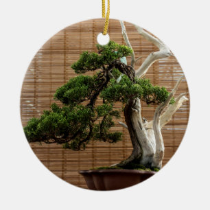 Chinese Juniper Bonsai Tree Photo Ceramic Tree Decoration