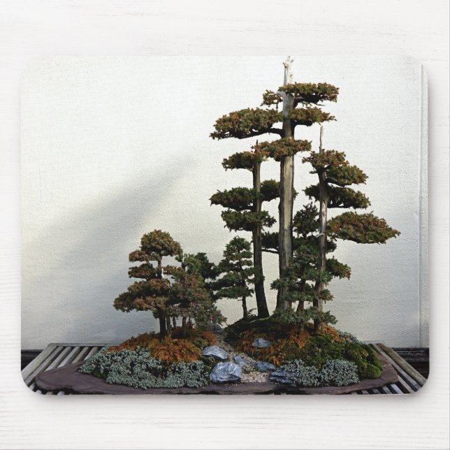 Chinese Juniper Bonsai Trees Mouse Pad (Front)