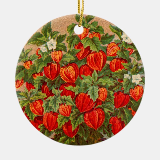 Chinese Lantern Plant Ceramic Tree Decoration (Front)