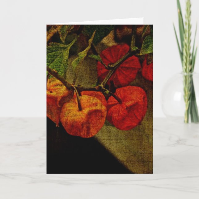 Chinese Lantern Plant With Fruit Holiday Card (Front)