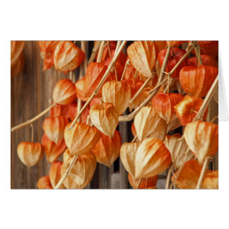 Chinese Lanterns