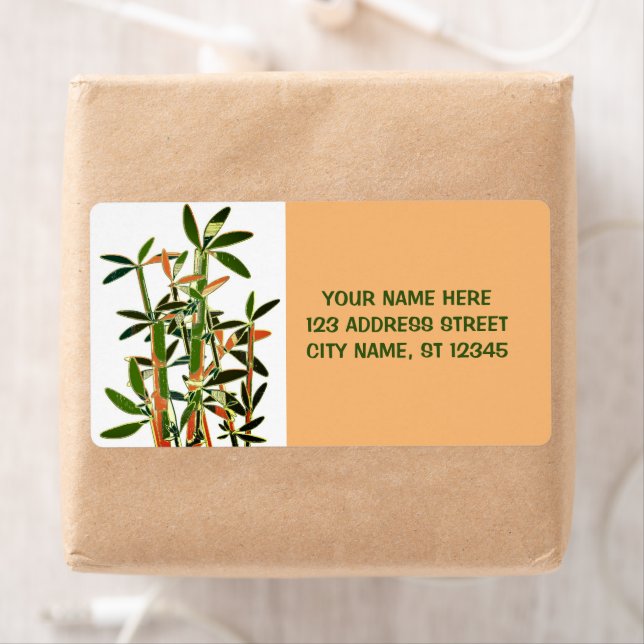 Chinese Lucky Bamboo Plants. personalised (Insitu)