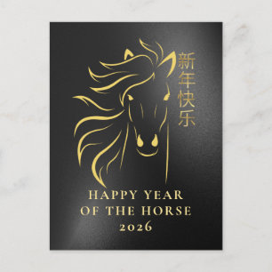 Chinese Lunar New Year 2026, Year Of The horse Holiday Postcard