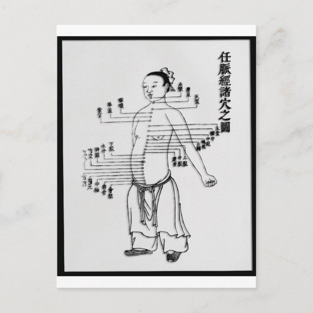 Chinese Medicine chart Postcard (Front)