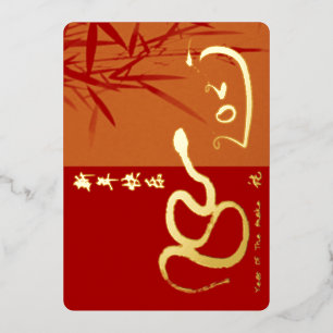 Chinese New Year of The Snake 2025 FGC