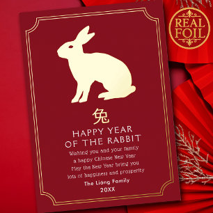 Chinese New Year Rabbit