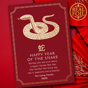 Chinese New Year Snake