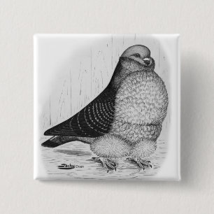 Chinese Owl Pigeon Ink Drawing 15 Cm Square Badge