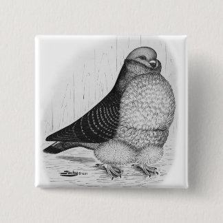 Chinese Owl Pigeon Ink Drawing 15 Cm Square Badge
