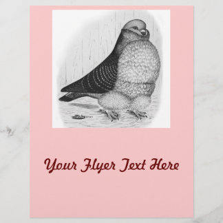 Chinese Owl Pigeon Ink Drawing Flyer