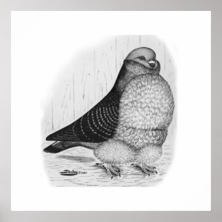 Chinese Owl Pigeon Ink Drawing Poster