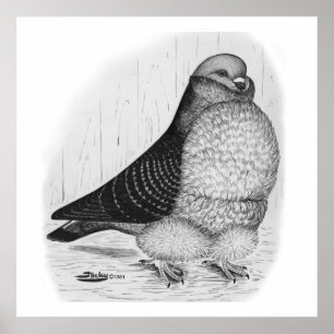 Chinese Owl Pigeon Ink Drawing Poster