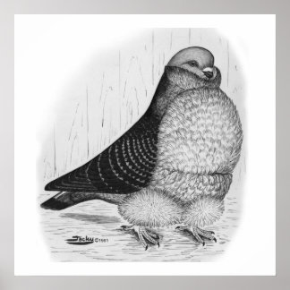 Chinese Owl Pigeon Ink Drawing Poster