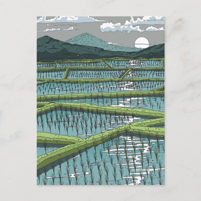 Chinese Paddy Field Postcard (Front)