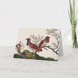 Chinese Pheasants Greeting Card