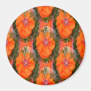 Chinese poppy field... magnet