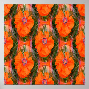Chinese poppy field... poster