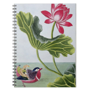Chinese Red Water Lily, Volume I, plate 82, from ' Notebook