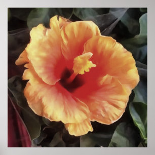 Chinese Rose Flower Poster
