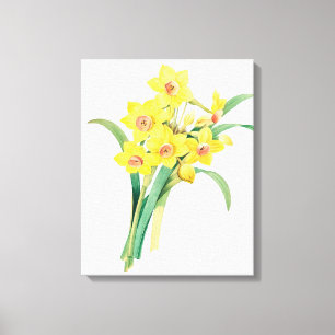 Chinese Sacred Lily, Pierre-Joseph Redouté, Canvas Print
