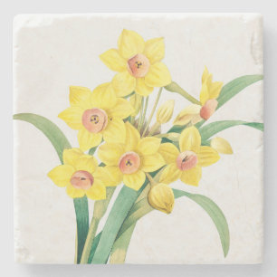 Chinese Sacred Lily, Pierre-Joseph Redouté,  Stone Coaster